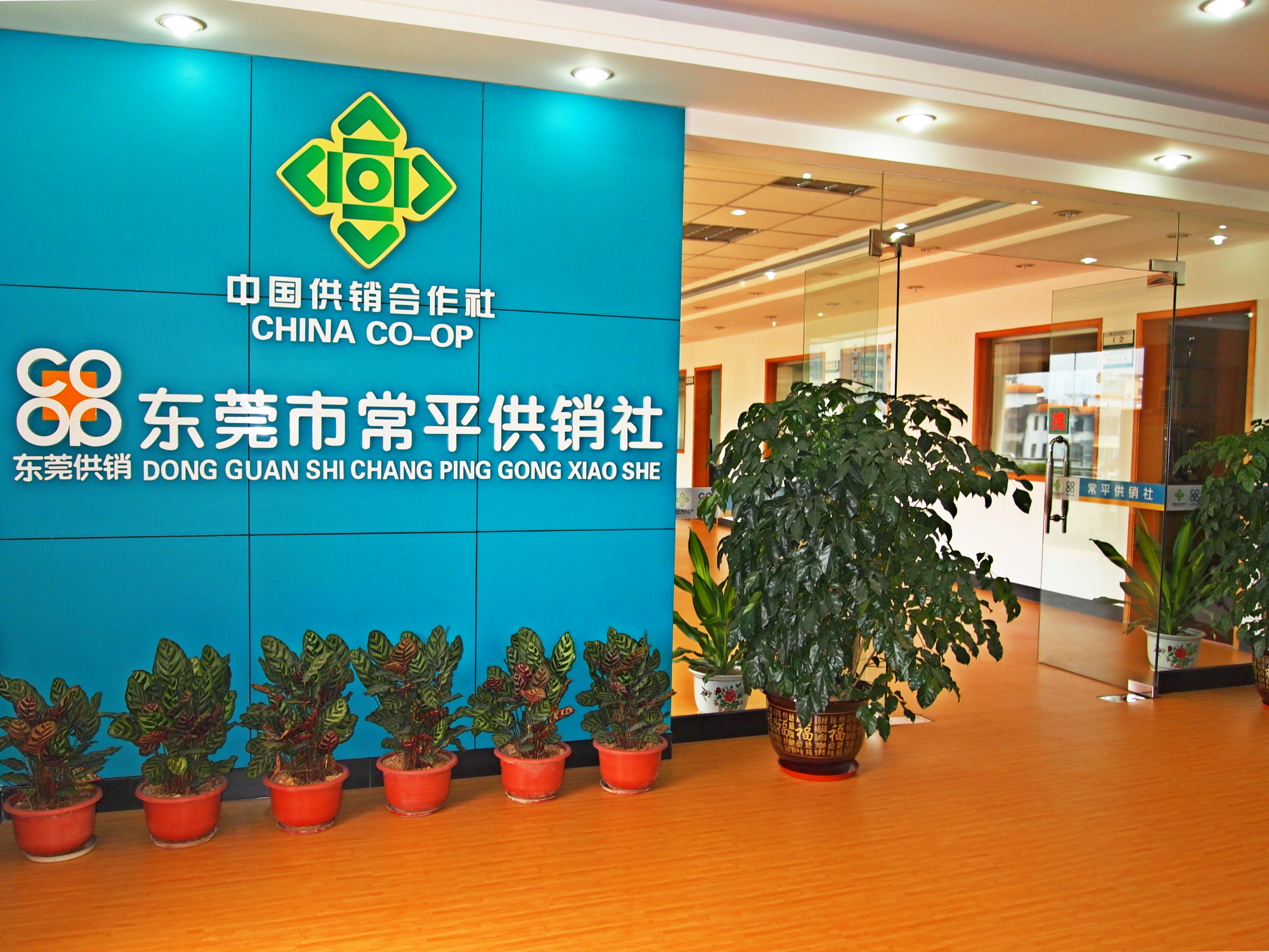 ��ƽ������